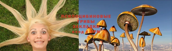 эйфоретик Богданович