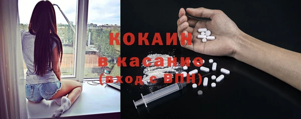 эйфоретик Богданович