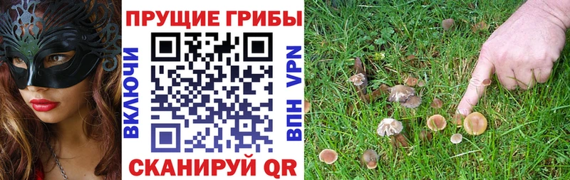 Псилоцибиновые грибы Magic Shrooms  наркотики  OMG сайт  Воронеж 